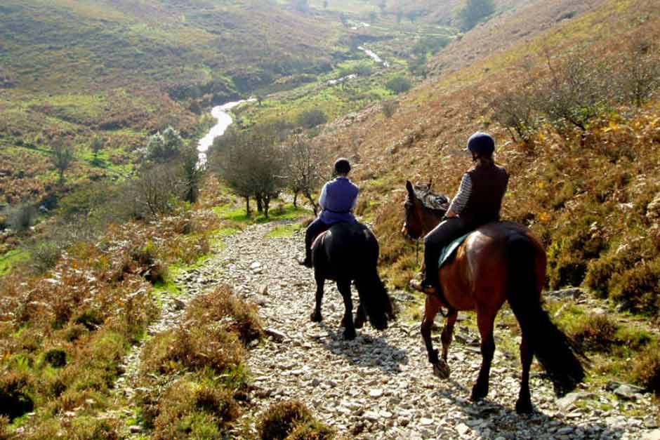Luxury Holiday Cottages In North Devon Near Mullacott Equestrian Centre Horse Riding