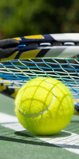 Luxury Holiday Cottages In North Devon With Tennis Court And Badminton Court